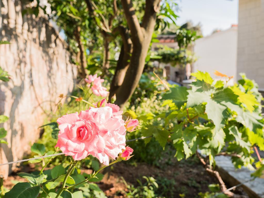 Rezevici Apartments Petrovac Zewnętrze zdjęcie
